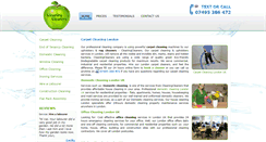 Desktop Screenshot of cleaningcleaners.org.uk