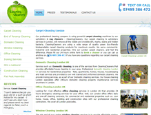 Tablet Screenshot of cleaningcleaners.org.uk